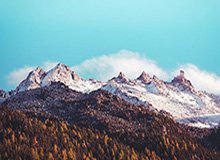 苏宁晋级决赛期待最难挑战 奥拉罗尤忧心三大伤员